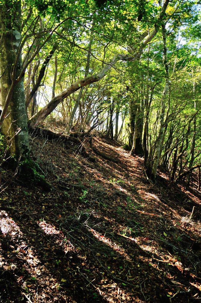 f:id:hikojima:20191010185851j:plain