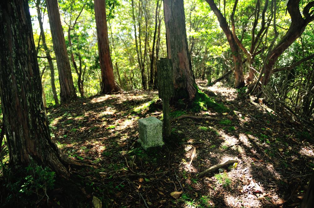 f:id:hikojima:20191010185856j:plain