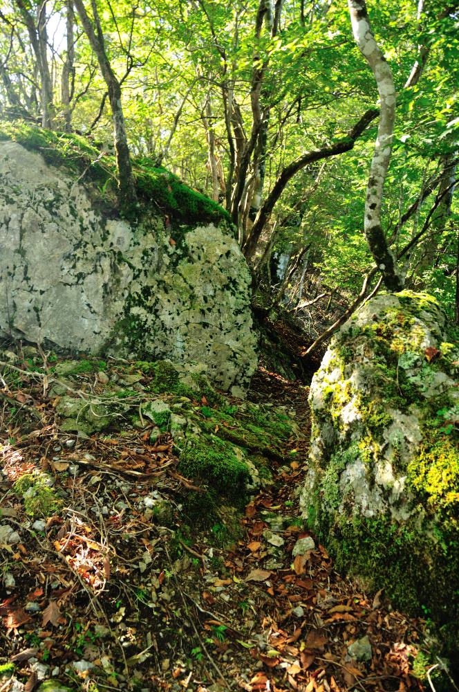 f:id:hikojima:20191010185904j:plain