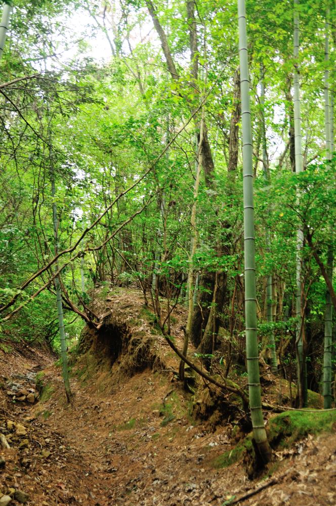 f:id:hikojima:20191029094407j:plain f:id:hikojima:20191029094407j:plain