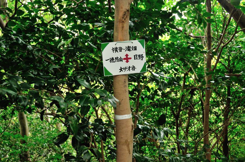 f:id:hikojima:20191029094417j:plain f:id:hikojima:20191029094417j:plain