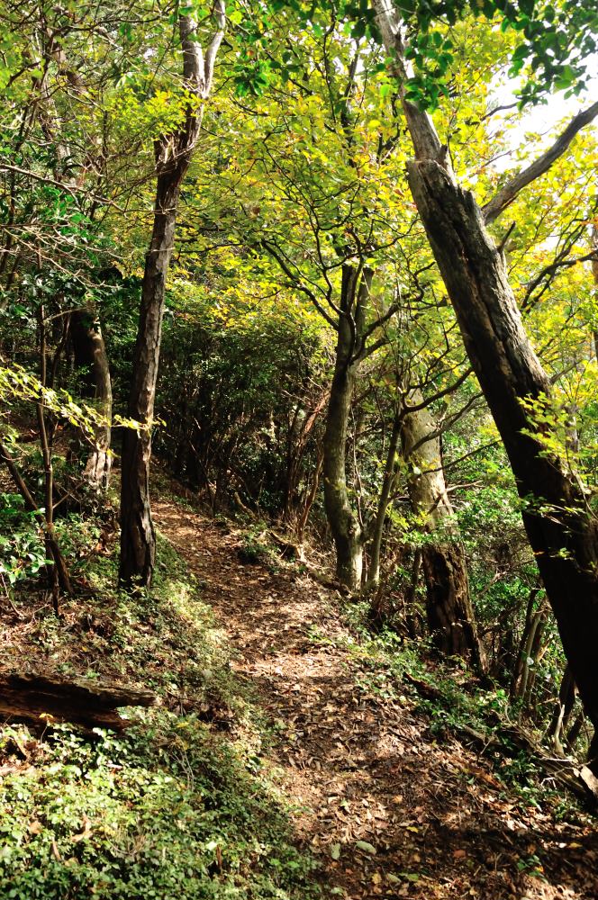 f:id:hikojima:20191029094425j:plain f:id:hikojima:20191029094425j:plain