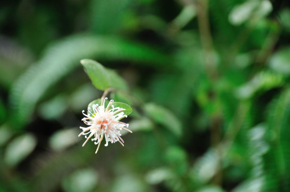 f:id:hikojima:20191029094436j:plain f:id:hikojima:20191029094436j:plain