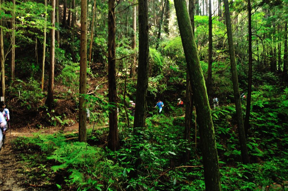 f:id:hikojima:20191029094439j:plain f:id:hikojima:20191029094439j:plain