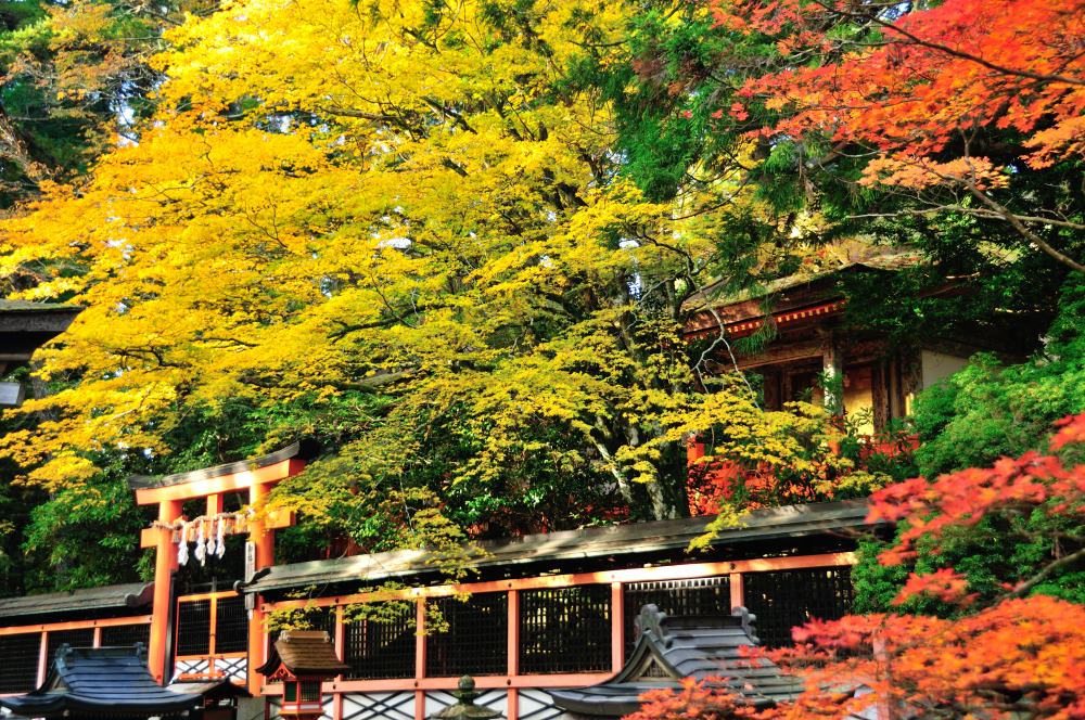 f:id:hikojima:20191113110933j:plain