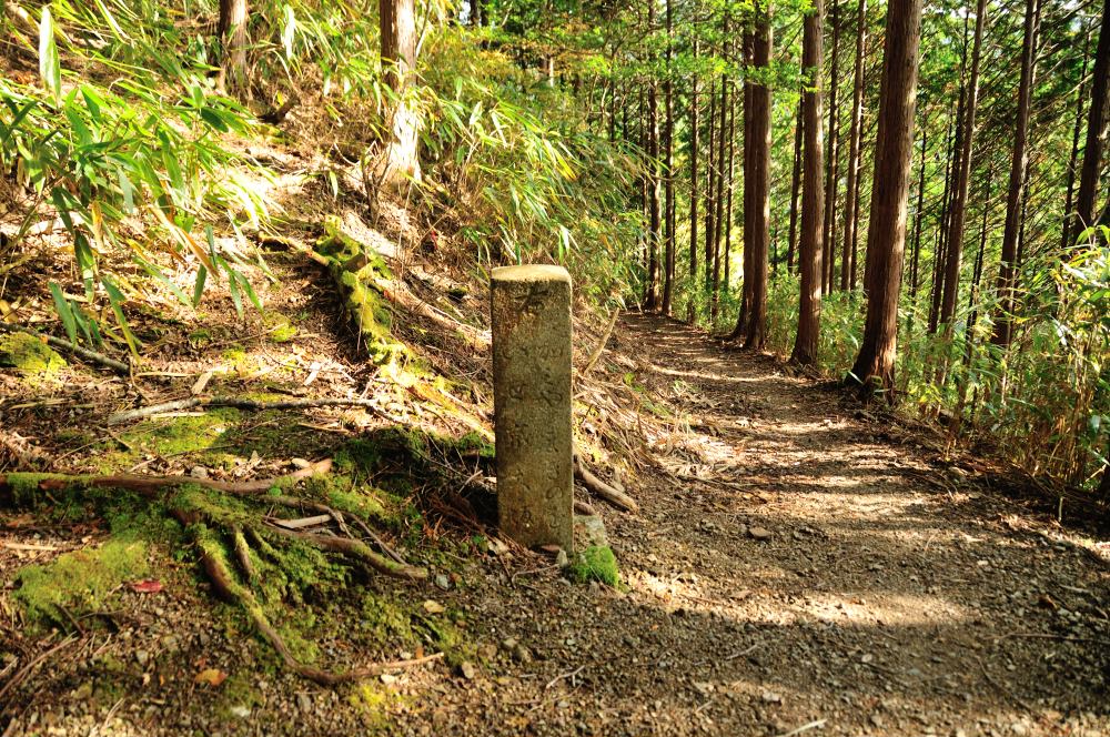 f:id:hikojima:20191113110940j:plain