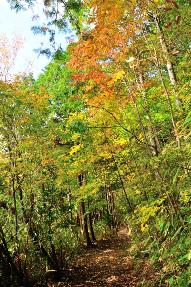 f:id:hikojima:20191113110944j:plain