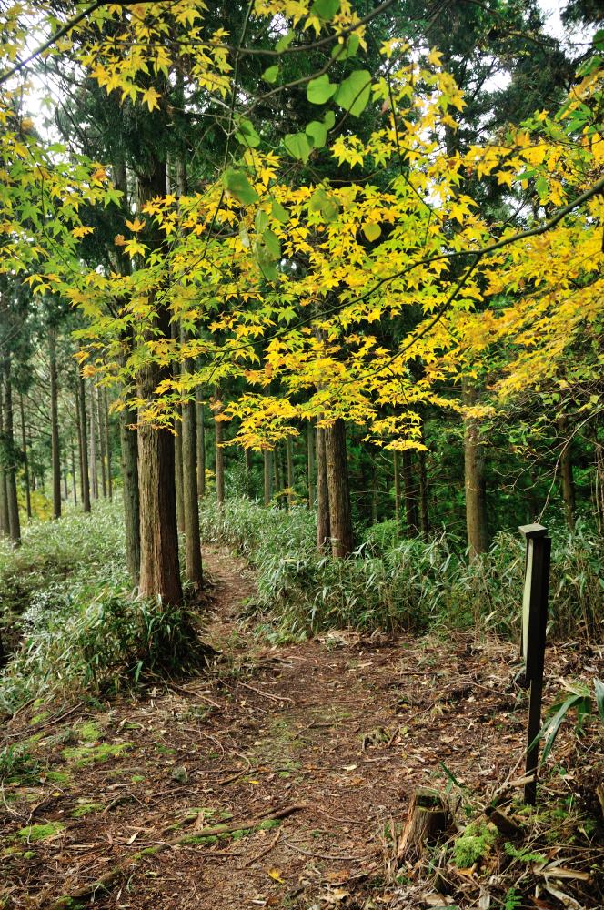 f:id:hikojima:20191113110948j:plain