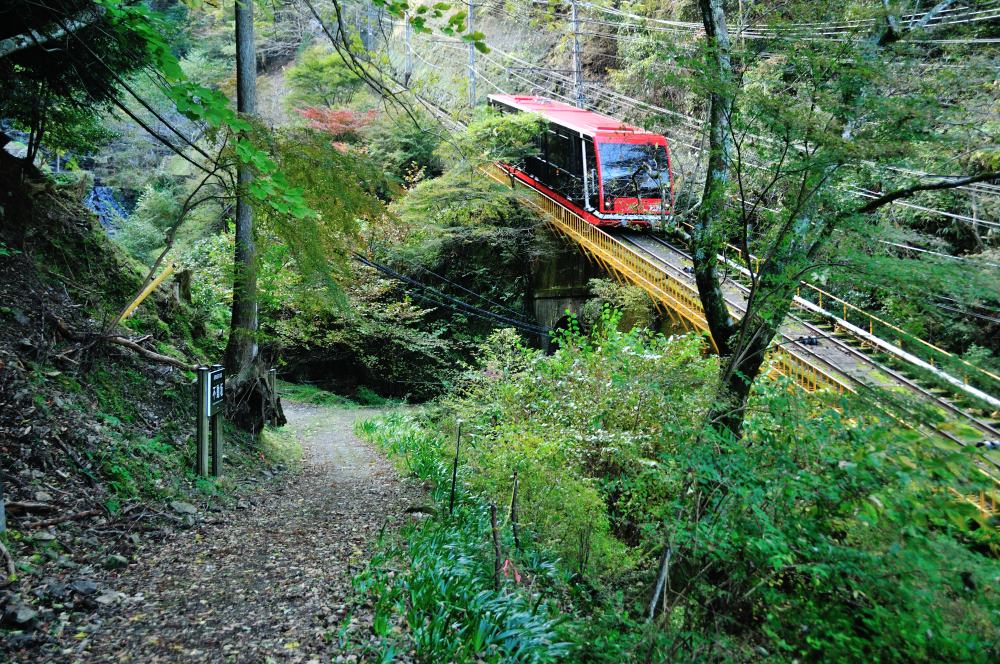 f:id:hikojima:20191113110955j:plain