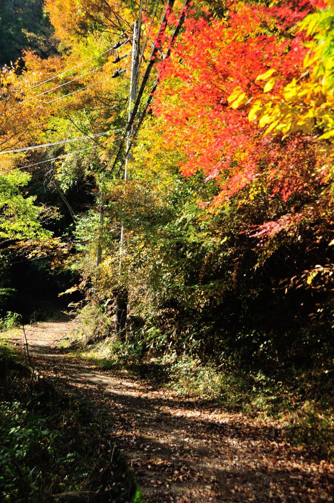 f:id:hikojima:20191113111004j:plain