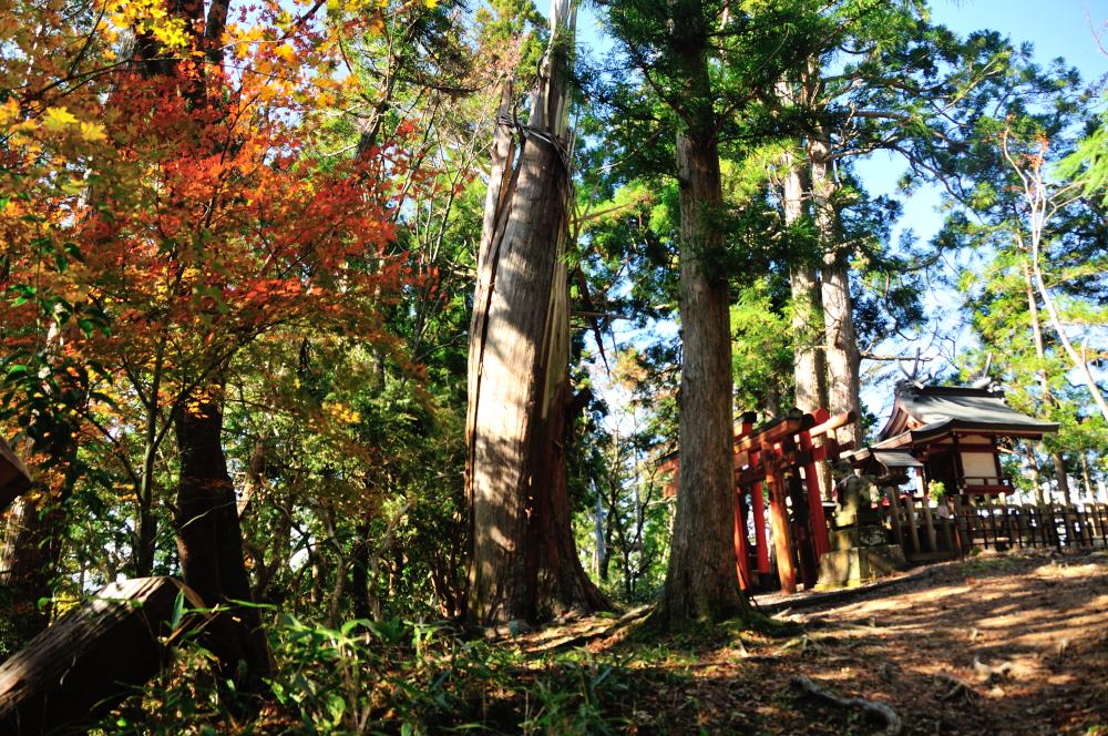 f:id:hikojima:20191113111007j:plain