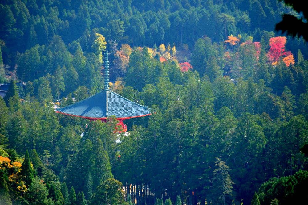 f:id:hikojima:20191113111010j:plain