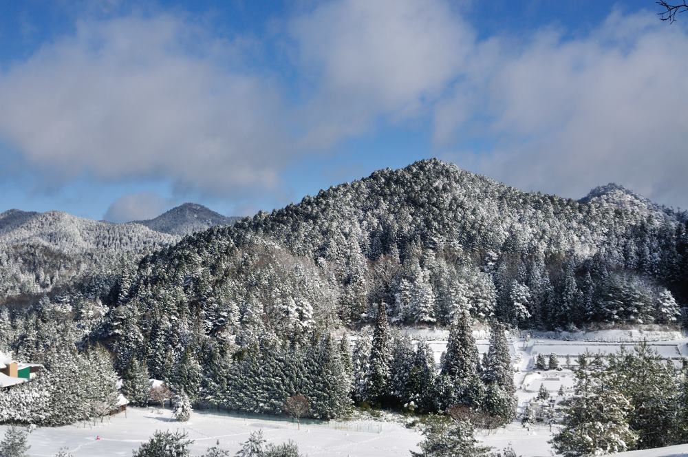 f:id:hikojima:20191219184112j:plain