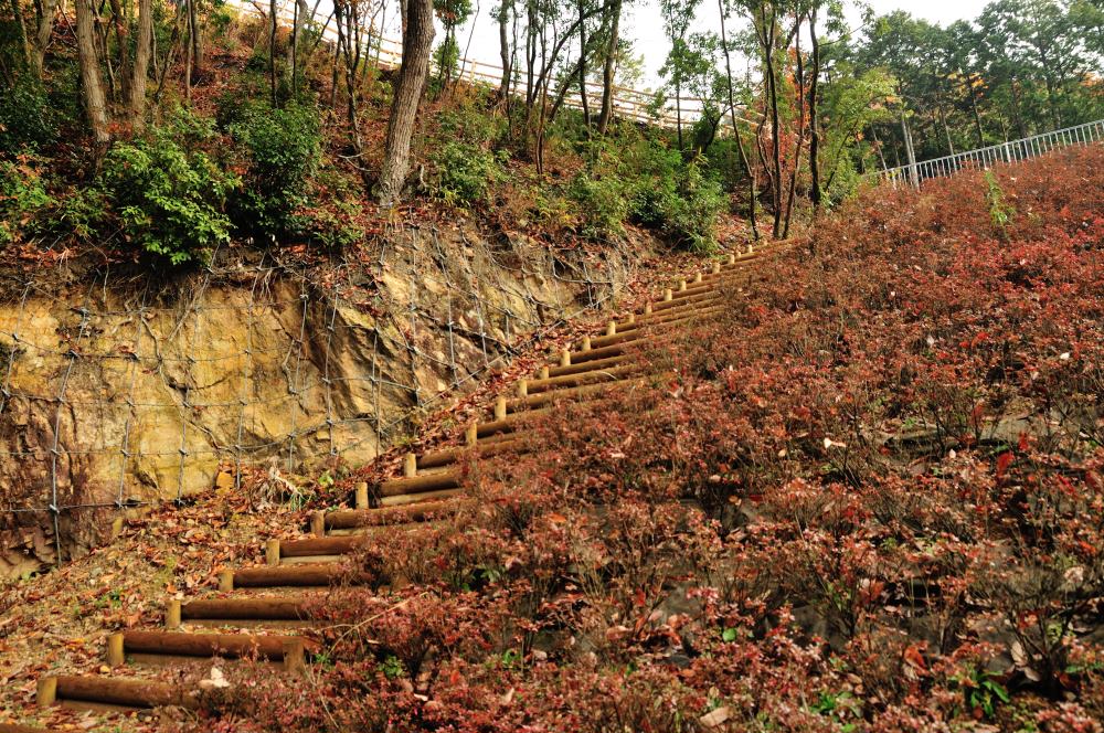 f:id:hikojima:20191220105148j:plain