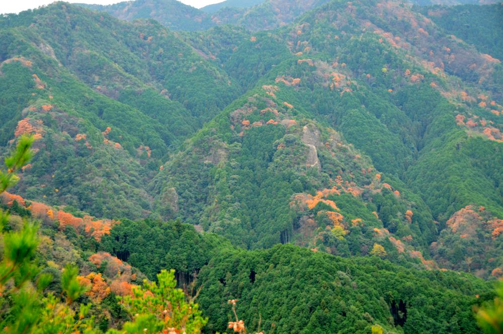 f:id:hikojima:20191220105206j:plain