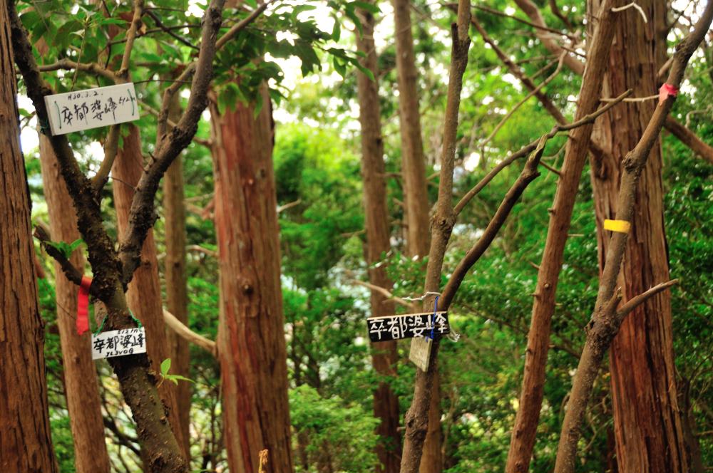 f:id:hikojima:20191220105232j:plain