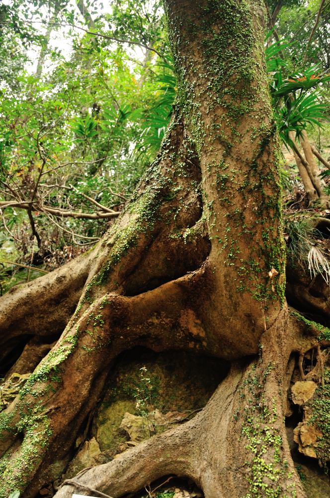 f:id:hikojima:20191220105251j:plain