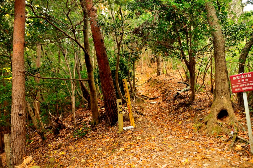 f:id:hikojima:20191220105303j:plain