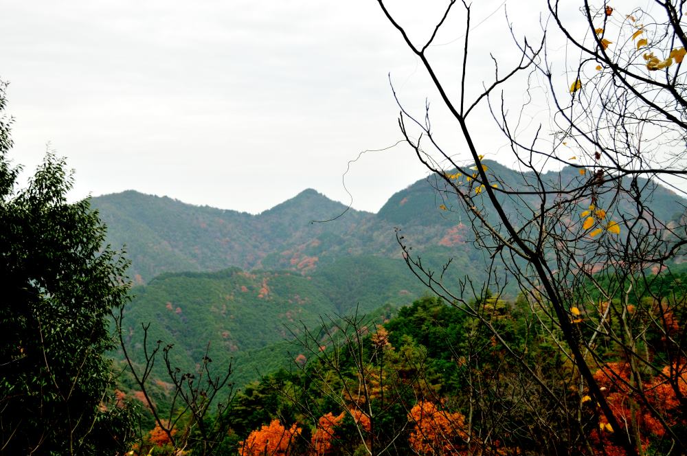 f:id:hikojima:20191220105307j:plain