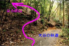 f:id:hikojima:20191220113548j:plain