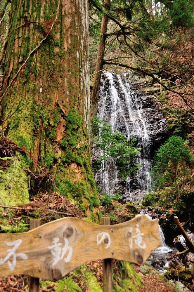 f:id:hikojima:20200123143127j:plain