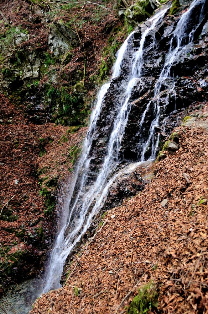 f:id:hikojima:20200123143130j:plain