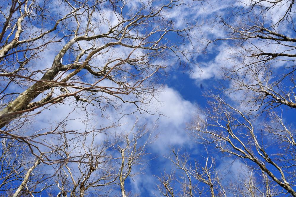 f:id:hikojima:20200123143153j:plain