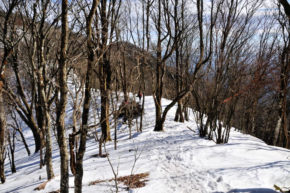 f:id:hikojima:20200123143203j:plain