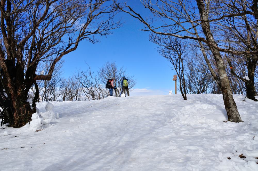 f:id:hikojima:20200123143206j:plain