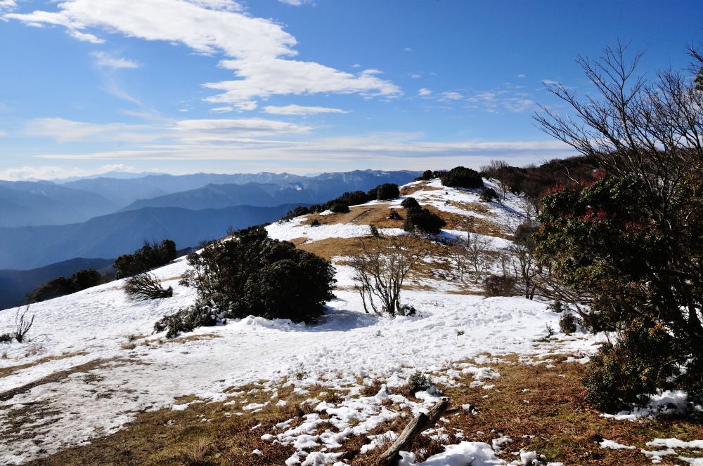 f:id:hikojima:20200123143210j:plain