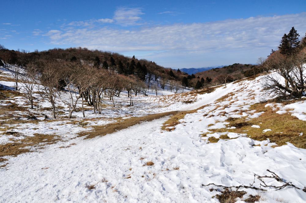 f:id:hikojima:20200123143215j:plain