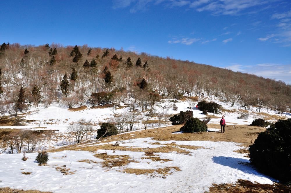 f:id:hikojima:20200123143221j:plain