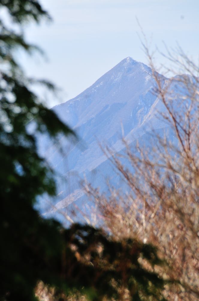 f:id:hikojima:20200123143227j:plain