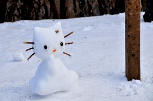 f:id:hikojima:20200123144556j:plain