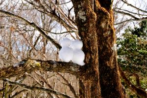 f:id:hikojima:20200123144605j:plain