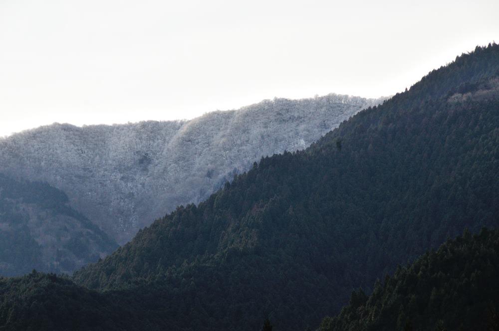 f:id:hikojima:20200208100106j:plain