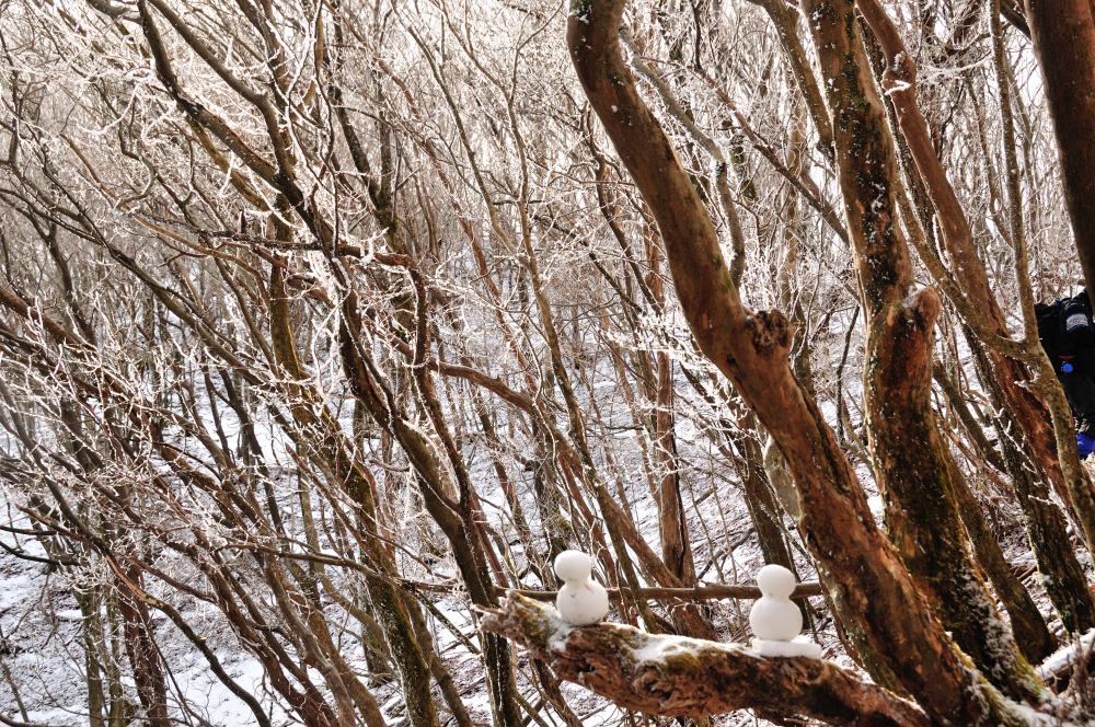 f:id:hikojima:20200208100115j:plain