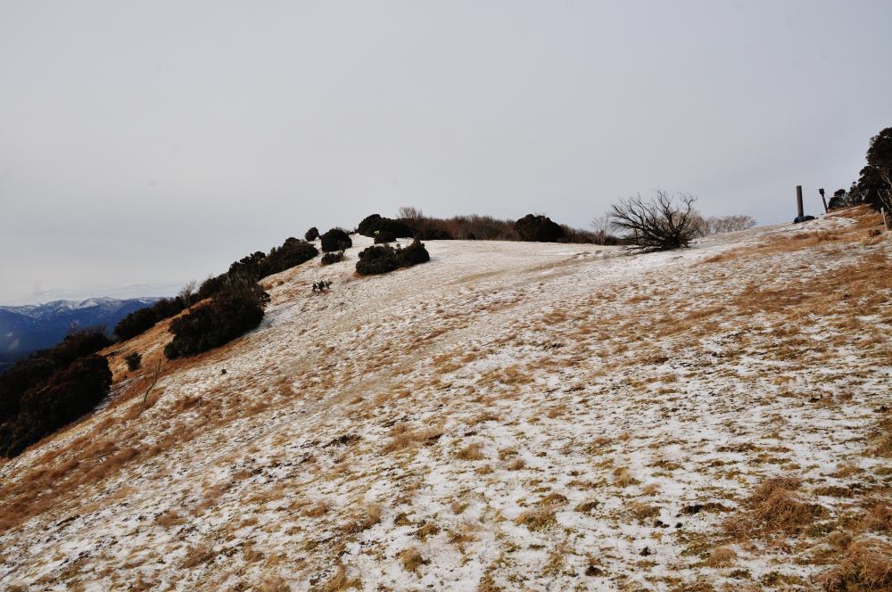 f:id:hikojima:20200208100122j:plain