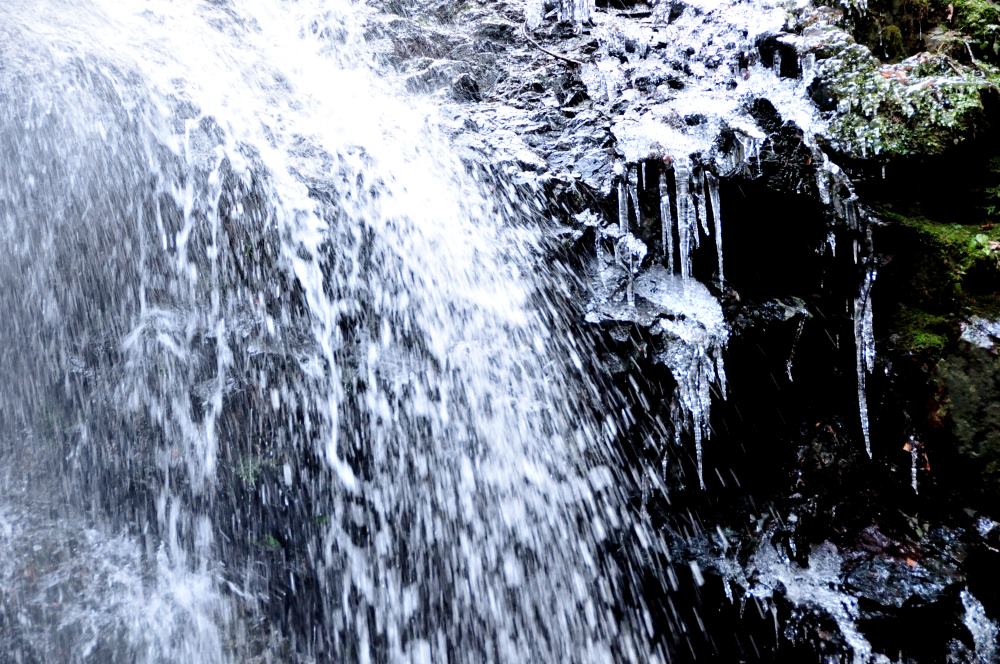 f:id:hikojima:20200208100154j:plain