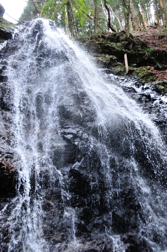 f:id:hikojima:20200208100215j:plain