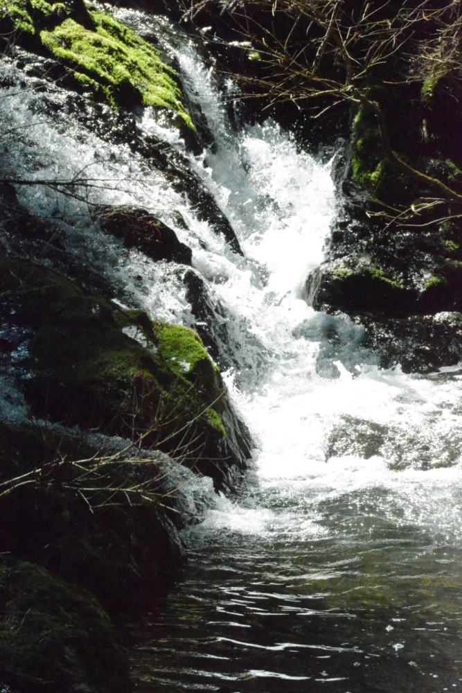 f:id:hikojima:20200312111250j:plain f:id:hikojima:20200312111250j:plain