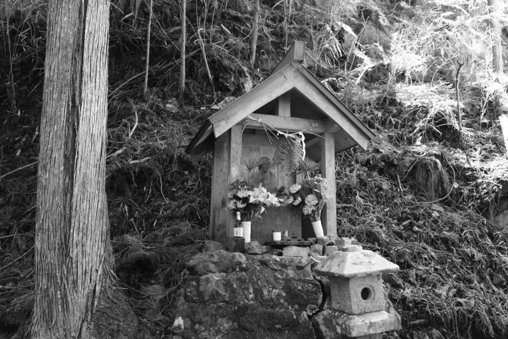 f:id:hikojima:20200312111829j:plain f:id:hikojima:20200312111829j:plain