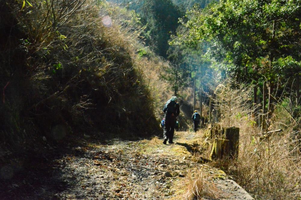 f:id:hikojima:20200312112159j:plain f:id:hikojima:20200312112159j:plain