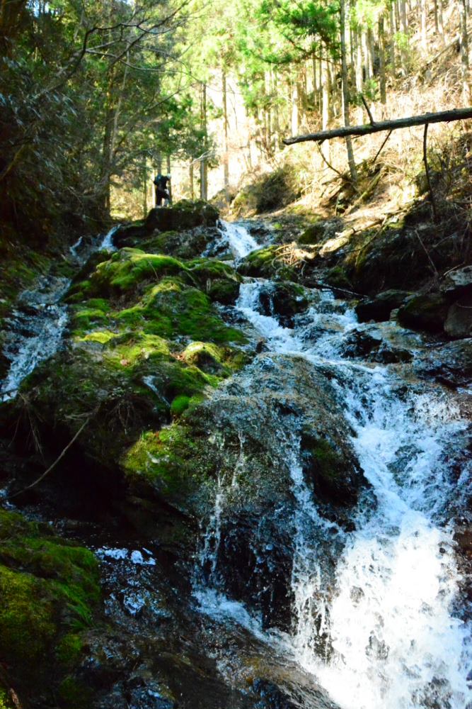 f:id:hikojima:20200312113521j:plain f:id:hikojima:20200312113521j:plain