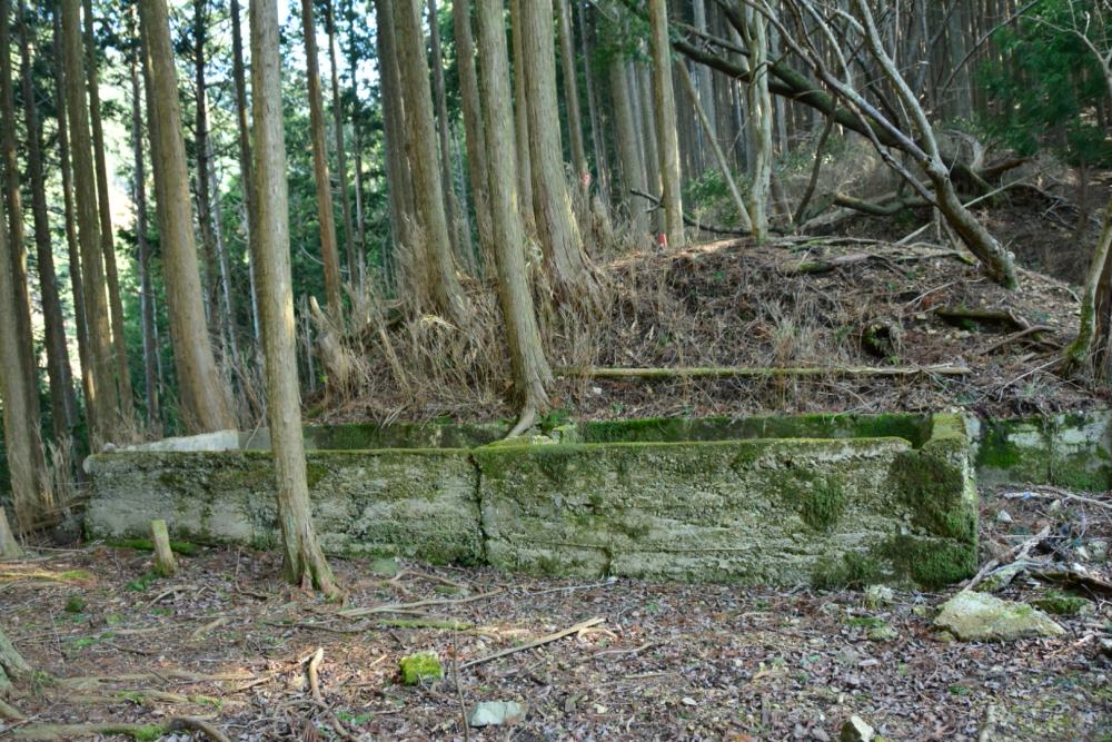 f:id:hikojima:20200312150612j:plain f:id:hikojima:20200312150612j:plain