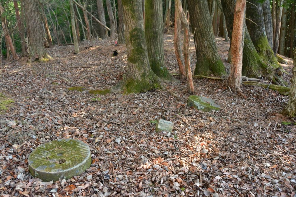 f:id:hikojima:20200312151504j:plain f:id:hikojima:20200312151504j:plain