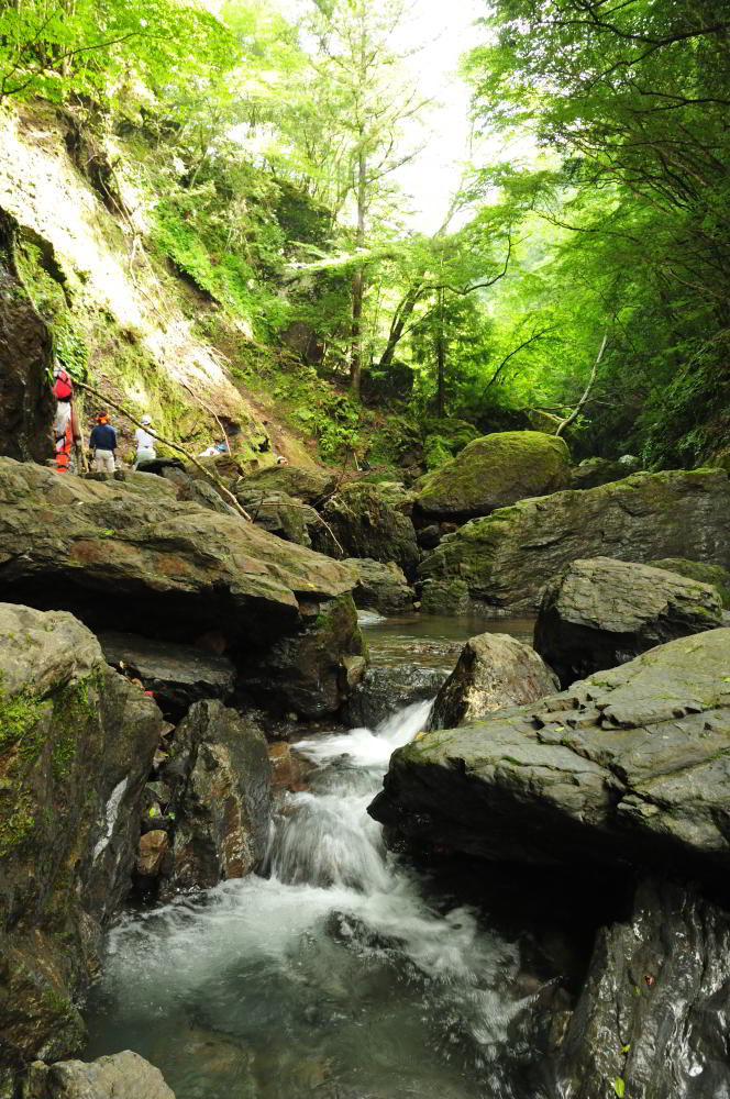 f:id:hikojima:20200720143816j:plain