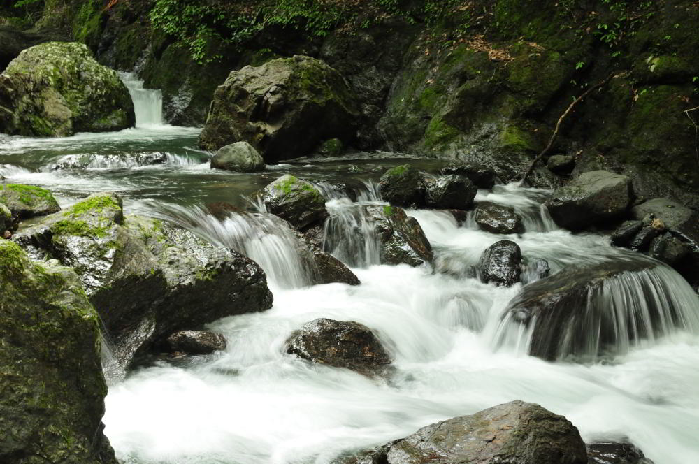 f:id:hikojima:20200720143818j:plain