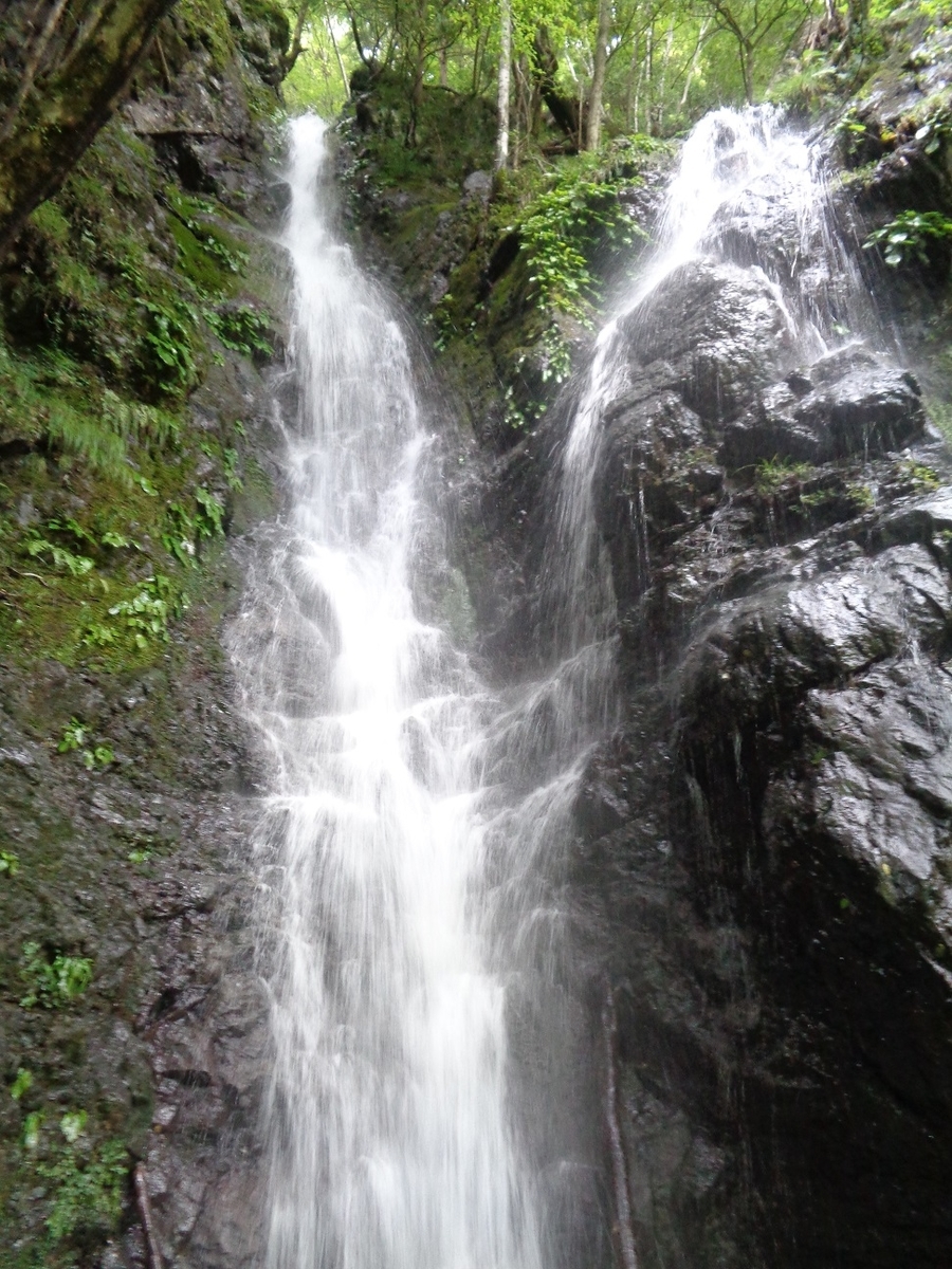 f:id:hikojima:20200720143825j:plain