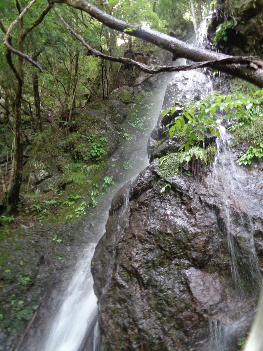 f:id:hikojima:20200720143829j:plain